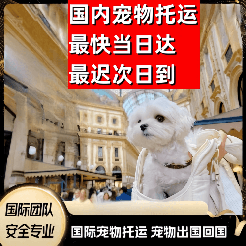 攀枝花市到澳大利亚（澳洲）宠物入境规定和要求